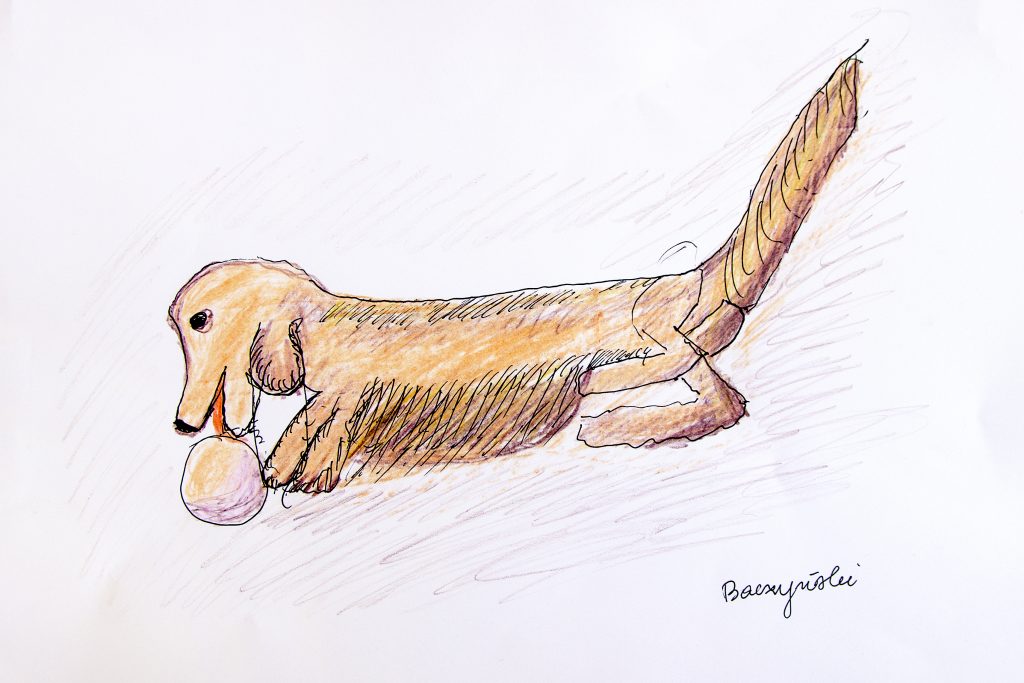 [Opis]: „Rysunek przedstawia psa bawiącego się piłeczką. Zainspirowana, namalowałam obrazek Baczyńskiego”.
[Refleksja]: „Rysunek przedstawia psa, który z wielkim zapałem bawi się. Jest kudłaty i ma rudą sierść”.
